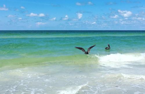 Redington Shores House | The Sunset House