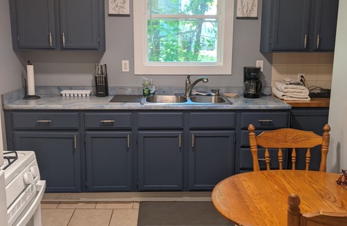 Manistee Apartment | The Sycamore Nest - New Pet Friendly Retreat. 1 Mile to Lake Michigan!