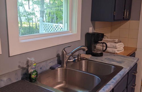 Manistee Apartment | The Sycamore Nest - New Pet Friendly Retreat. 1 Mile to Lake Michigan!