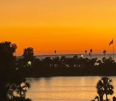 Tarpon Springs Apartment | The Tarpon Flat Bright 1BR Downtown Retreat