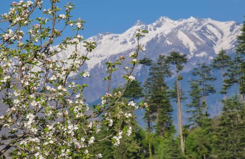 Jibhi Cabin | The Tirthan eagle nest, Tirthan Valley