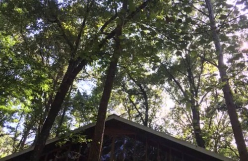 Tyler Cabin | The Tree House Cabin