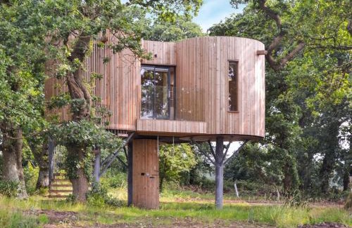 Bankend House | The Treehouse Caerlaverock - Uk45028