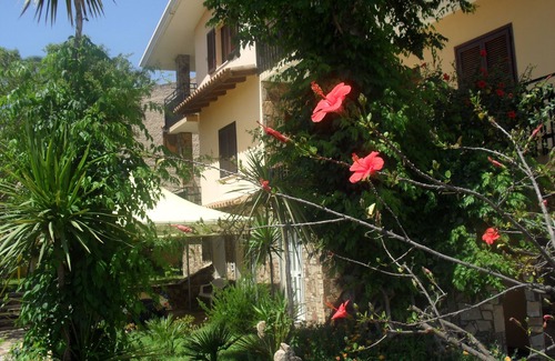 La Caletta House | The two palms from Angelo the cove