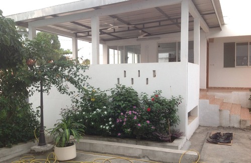 Libreville House | The unique experience of the " Gabon Gray Parrot sleeping room "