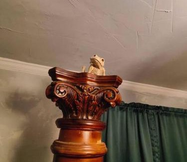Fort Smith House | The vampire's den, downtown big house, pets ok
