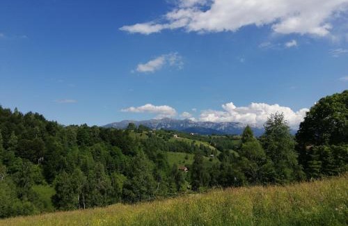 Moieciu House | The Viewpoint