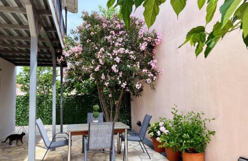 Kariotai Apartment | The Vineyard Lefkas