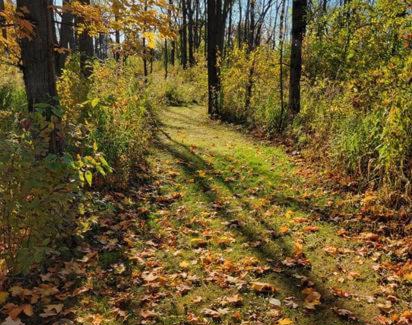 Town of Essex Bed & Breakfast | The Walnut Grove Country Inn