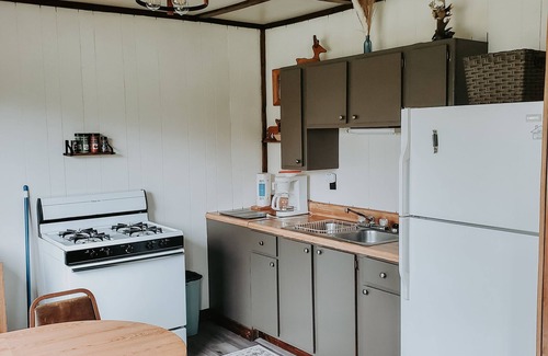Gould City Cabin | The Whitetail Lodge-Cabin #8