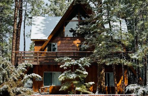 Big Bear City House | The Wilkie Cabin #339