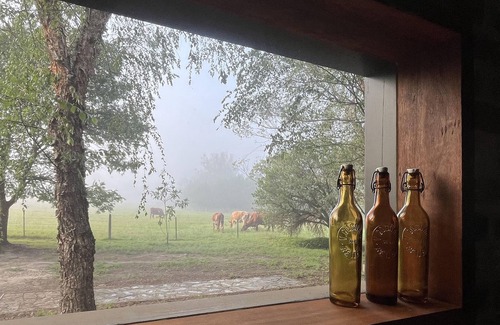 Wollombi House | THE WOLLOMBI PAVILION