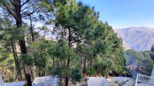 Jaiharikhal Resort | The Woods Retreat