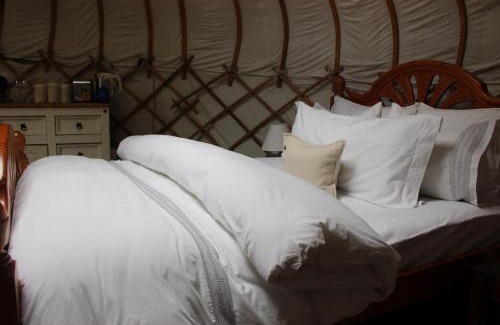 Upper Harbledown Other | The Yurt at Worcesters Farm