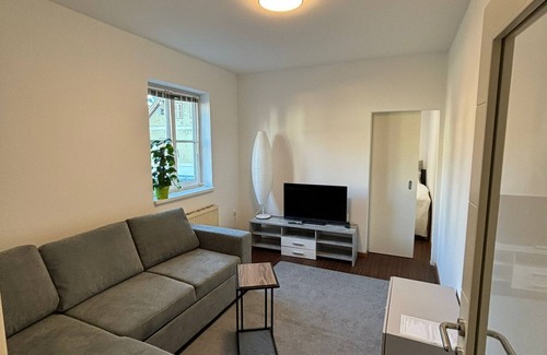 Bad Ischl Apartment | TheAlpsAppart Top 2 - Charming newly renovated apartment with WiFi in Bad Ischl