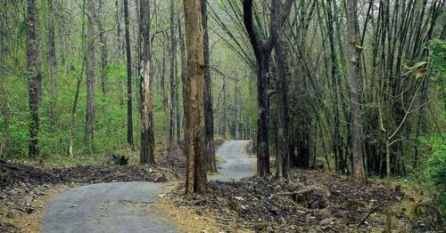Punalur Hotel | Thenmala Heritage
