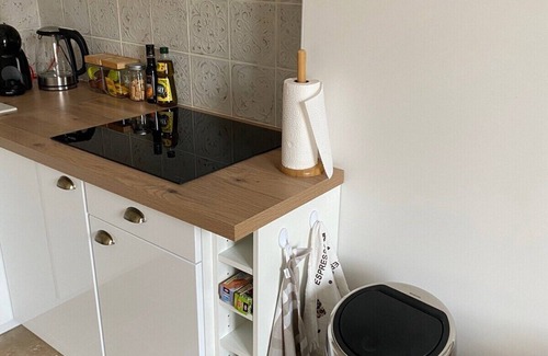 Saint-Laurent-sur-Saone Apartment | This apartment is a 1 bedroom(s), 1 bathrooms, located in Saint-Laurent-sur-Saône, Auvergne-Rhône-Alpes.