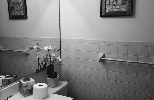 Elkins Park Apartment | This apartment is a 2 bedroom(s), 2 bathrooms, located in Elkins Park, PA.