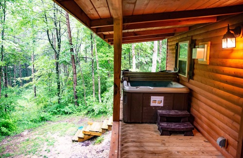 Carbon Hill Cabin | This Cabin will have you Bird watching