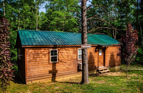 Carbon Hill Cabin | This Cabin will have you Bird watching