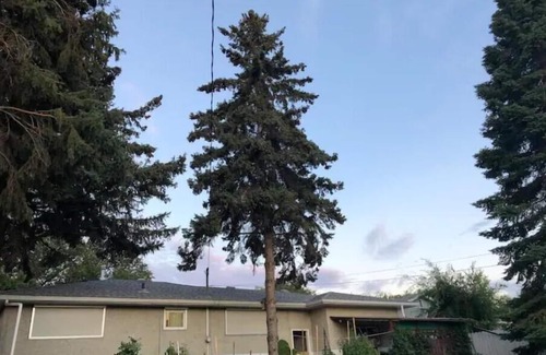 Saskatoon House | Three Bedrooms Main-floor Suite in Best Location