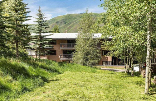 Aspen Condo | Three Blocks To Downtown! Parking, Wood FP, W/D, With Portable Air Conditioning