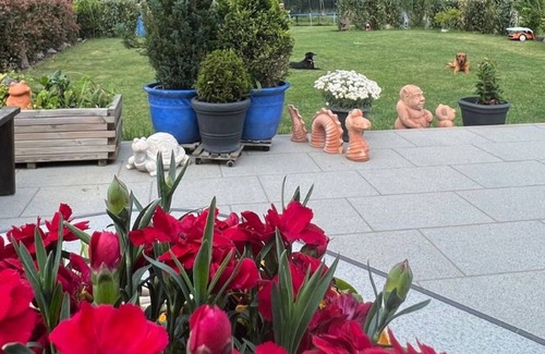 Rimbach Apartment | Three star apartment - Drachenhaus Rimbach