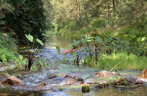 Thumb Creek House | Thumb Creek Cabin and private swimming hole