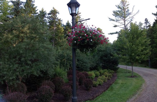 Dufferin House | "Tidal Treasure"- Mini Resort