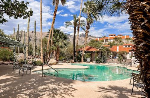 Tucson Apartment | Tierra Catalina #91