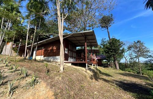 Ranong House | Tiger homestay 2 Phayam