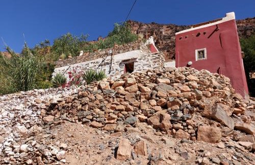 Amtdi Bed & Breakfast | Tigmi Bulbul