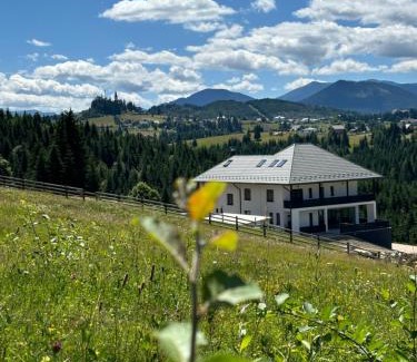 Piatra Fantanele House | Tihuța Village