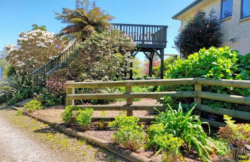 Tikitere Apartment | Tikitere Treasure - Peace, serenity and plenty of birdsong. nStudio unit.
