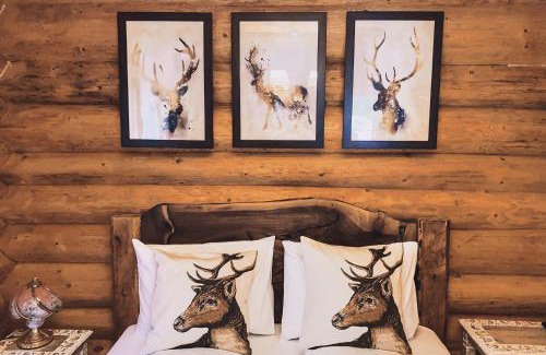 Rau Sadului House | Timber Charm Chalet