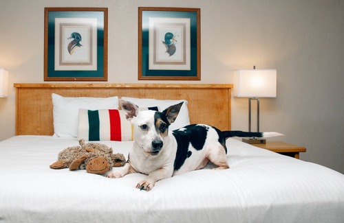 Bigfork Hotel | Timbers Motel
