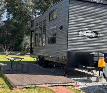 Florida Panhandle Other | Timberwolf in the Park