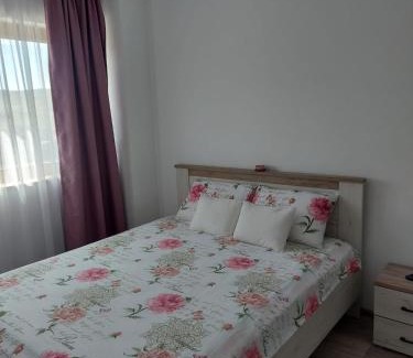 Bistrita Apartment | Timea's House