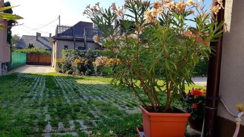 Balatonfured Apartment | Tini Apartman