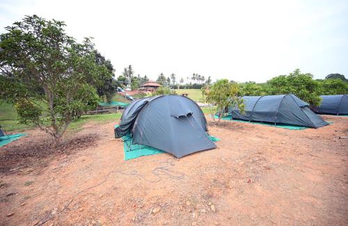 Mandarthi Resort | Tinton Adventure Resort