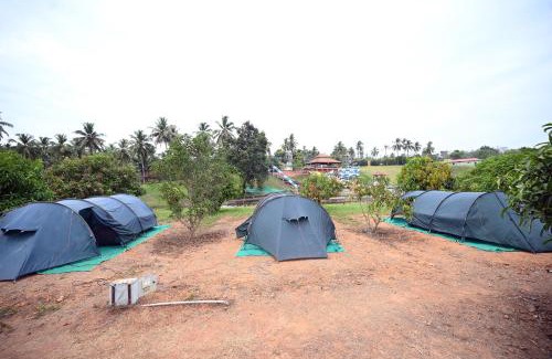 Mandarthi Resort | Tinton Adventure Resort