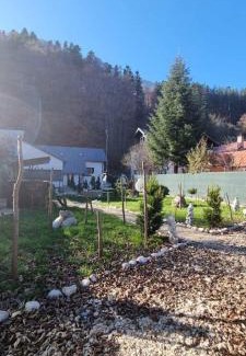 Busteni House | Tiny Dream House