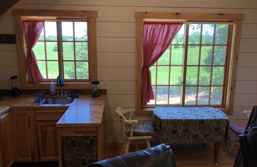 Siren House | Tiny Home on Snowshoe Creek & Little Wood Lake (RV parking with power)
