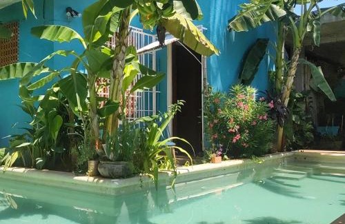 Bacocho House | Tiny House 4 Jaguar