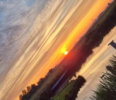 Wommels House | Tiny house aan het water op de appelhof