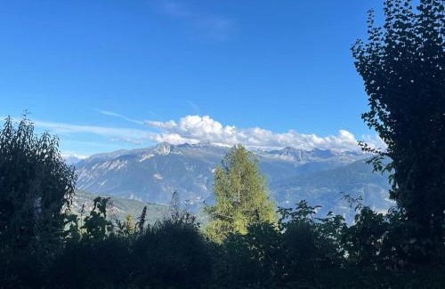 Monteiller Ski Chalet | Tiny House facing the Alps - Ski in, Ski out