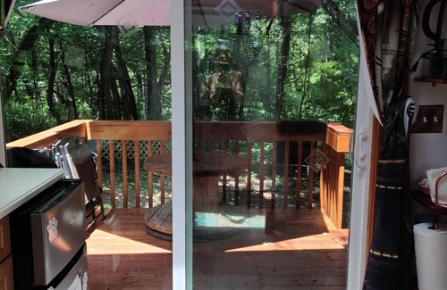 Woodfin House | Tiny House [Fenced in yard, 10mins to Downtown AVL]