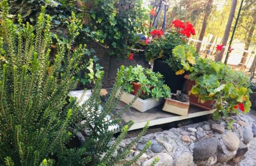 Cascinetta House | Tiny house- Lake Maggiore -Malpensa Airport -