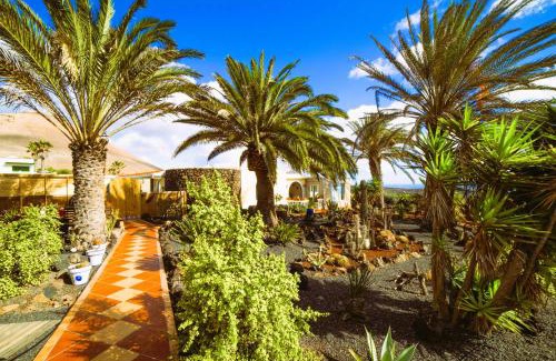 La Asomada Apartment | Tiny House MADORA - sea view - amazing garden - quiet location - Bodegas & hiking trails nearby