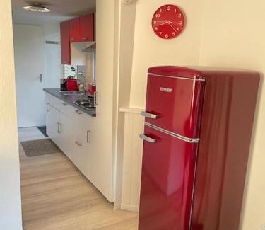 Krachtighuizen Ski Chalet | Tiny house met tuin en 2 fietsen in Putten op de Veluwe